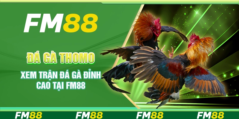 Đá Gà Thomo - Xem Trận Đá Gà Đỉnh Cao Tại Nền Tảng FM88