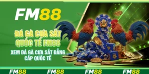 Đá Gà Cựa Sắt Quốc Tế Fm88 - Xem Đá Gà Đẳng Cấp Quốc Tế