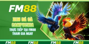 Xem Đá Gà Campuchia Trực Tiếp Tại Fm88 – Tham Gia Ngay