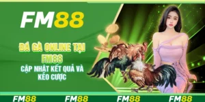 Đá gà online tại FM88 – Cập nhật kết quả và kèo cược