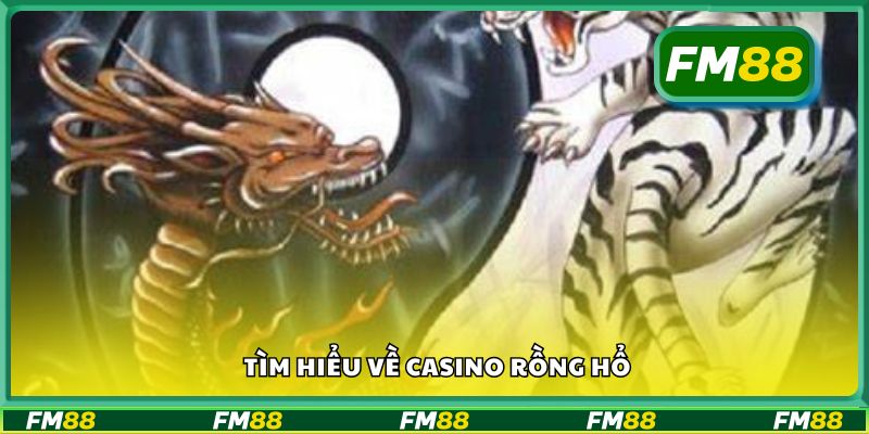 Tìm hiểu về casino rồng hổ