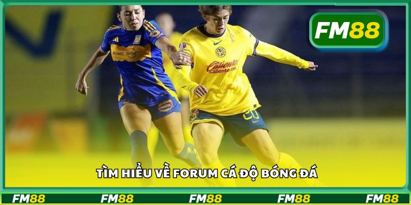 Tìm hiểu về forum cá độ bóng đá
