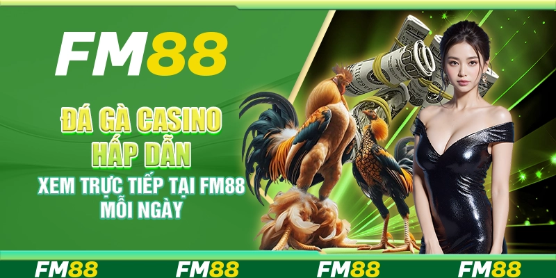 Đá Gà Casino Hấp Dẫn, Xem Trực Tiếp Tại Fm88 Mỗi Ngày