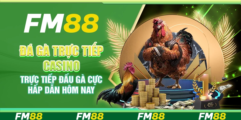 Đá gà trực tiếp casino - Trực tiếp đấu gà cực hấp dẫn hôm nay