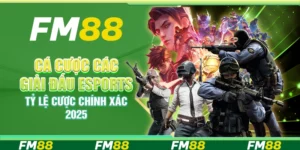 Cá Cược Các Giải Đấu Esports, Tỷ Lệ Cược Chính Xác 2025