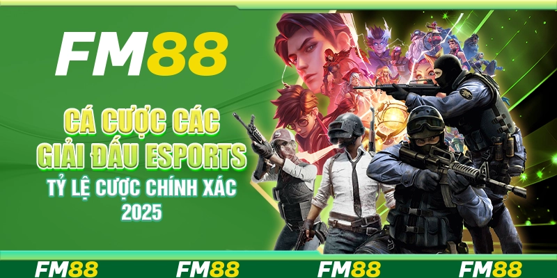 Cá Cược Các Giải Đấu Esports, Tỷ Lệ Cược Chính Xác 2025