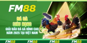 Đá Gà Siêu Hạng, Giải Đấu Đá Gà Đỉnh Cao 2025 Tại Việt Nam