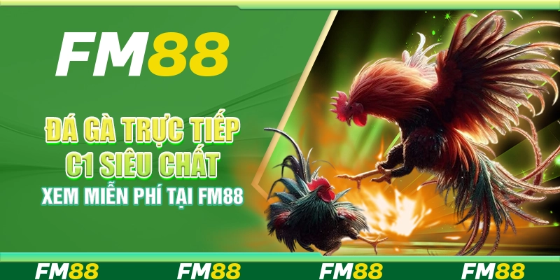 Đá Gà Trực Tiếp C1 Siêu Chất, Xem Miễn Phí Tại Fm88