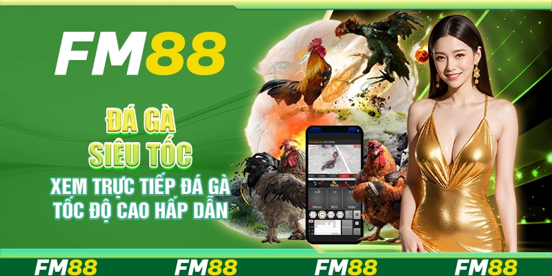 Đá Gà Siêu Tốc, Xem Trực Tiếp Đá Gà Tốc Độ Cao Hấp Dẫn
