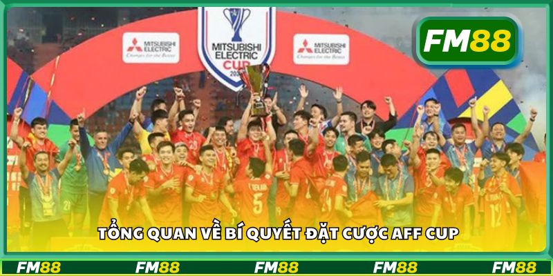 Tổng quan về bí quyết đặt cược AFF Cup