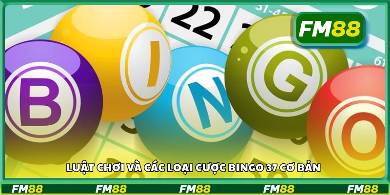 Hướng dẫn cách chơi Bingo 37 và các hình thức đặt cược phổ biến