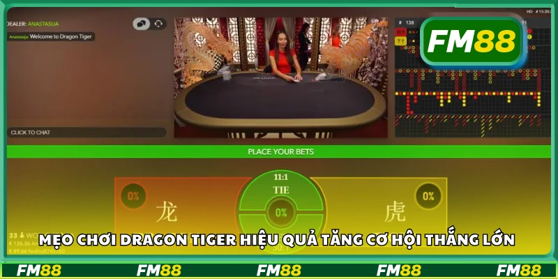 Mẹo chơi Dragon Tiger hiệu quả tăng cơ hội thắng