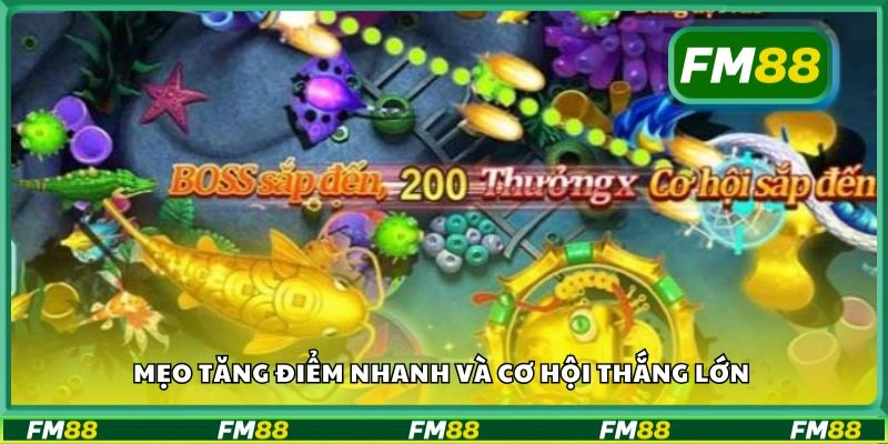 Mẹo tăng điểm nhanh và cơ hội thắng lớn