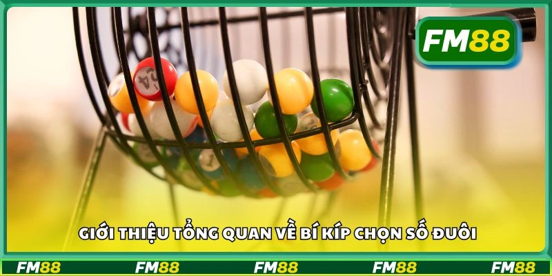 Giới thiệu tổng quan về bí kíp chọn số đuôi