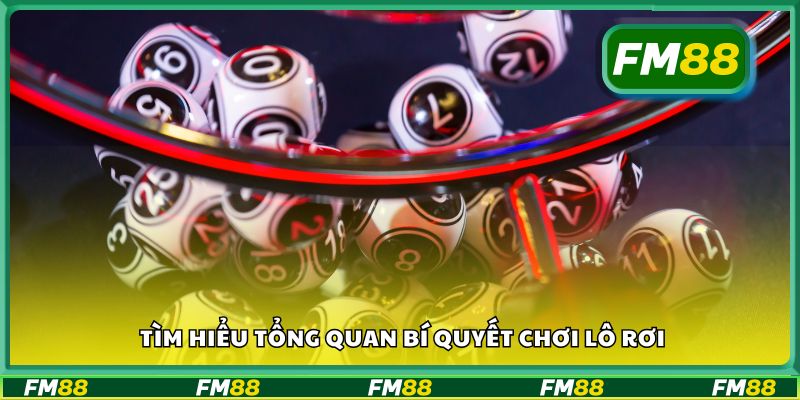 Tìm hiểu tổng quan bí quyết chơi lô rơi