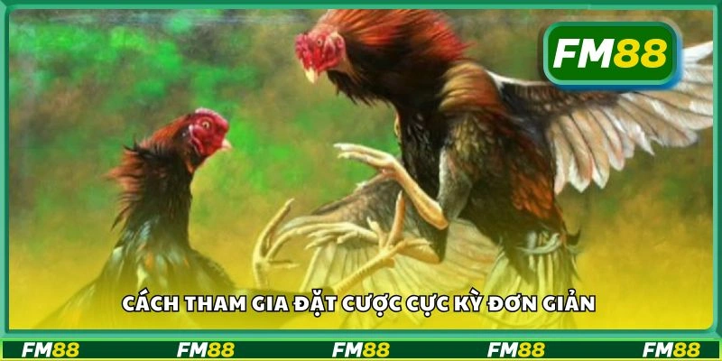 Cách tham gia đặt cược cực kỳ đơn giản