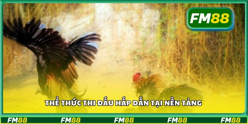 Thể thức thi đấu hấp dẫn tại nền tảng