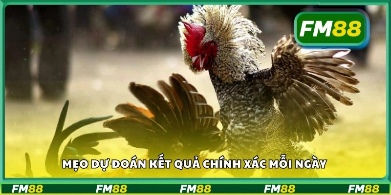 Mẹo dự đoán kết quả chính xác mỗi ngày