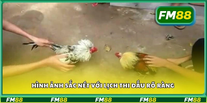 Hình ảnh sắc nét với lịch thi đấu rõ ràng