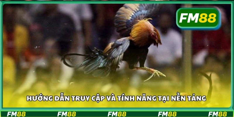 Hướng dẫn truy cập và tính năng tại nền tảng