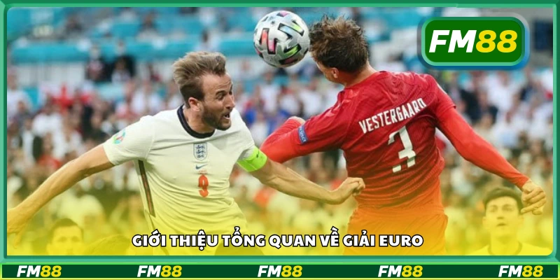 Khám phá tổng quan về giải EURO