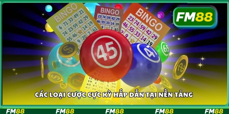 Các loại cược cực kỳ hấp dẫn tại nền tảng