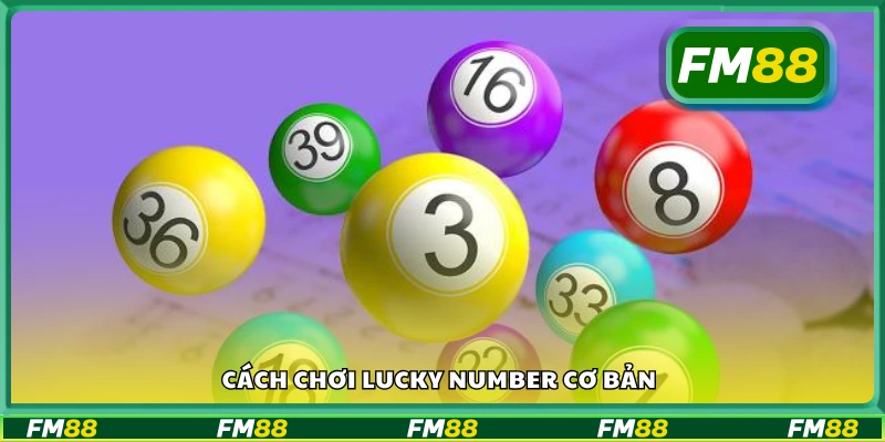 Hướng dẫn luật chơi Lucky Number cho người mới
