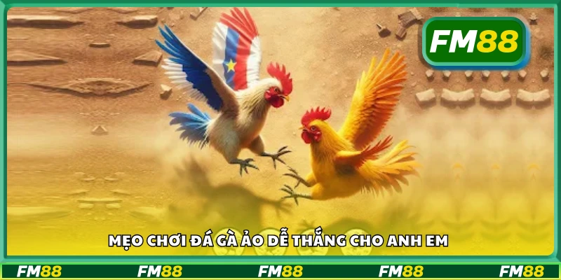 Các mẹo chơi đá gà ảo dễ thắng cho anh em