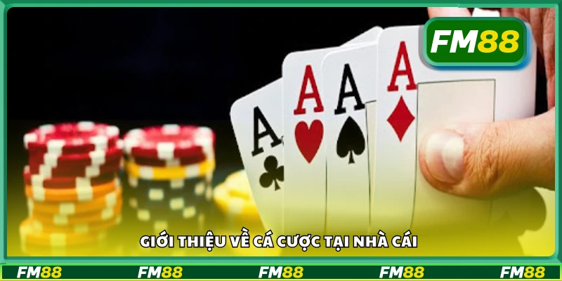 Tổng quan về cá cược tại nhà cái